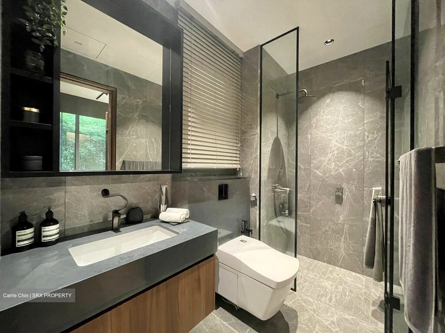 One Holland Village Residences (D10), Apartment #580427461